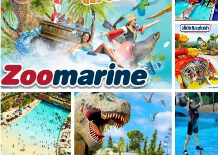 Cpr Solnascente * 波尔蒂芒