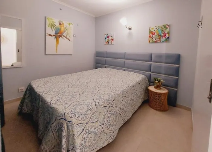 Cpr Solnascente 波尔蒂芒